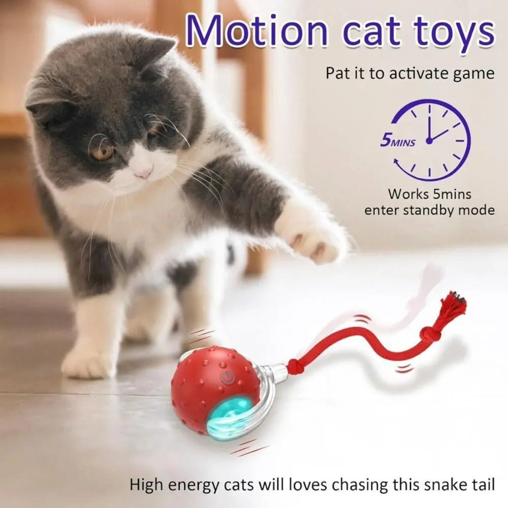 Automatic Smart Cat Toys Fast Rolling Rechargeable Dog Cat Training - PeticaDeals