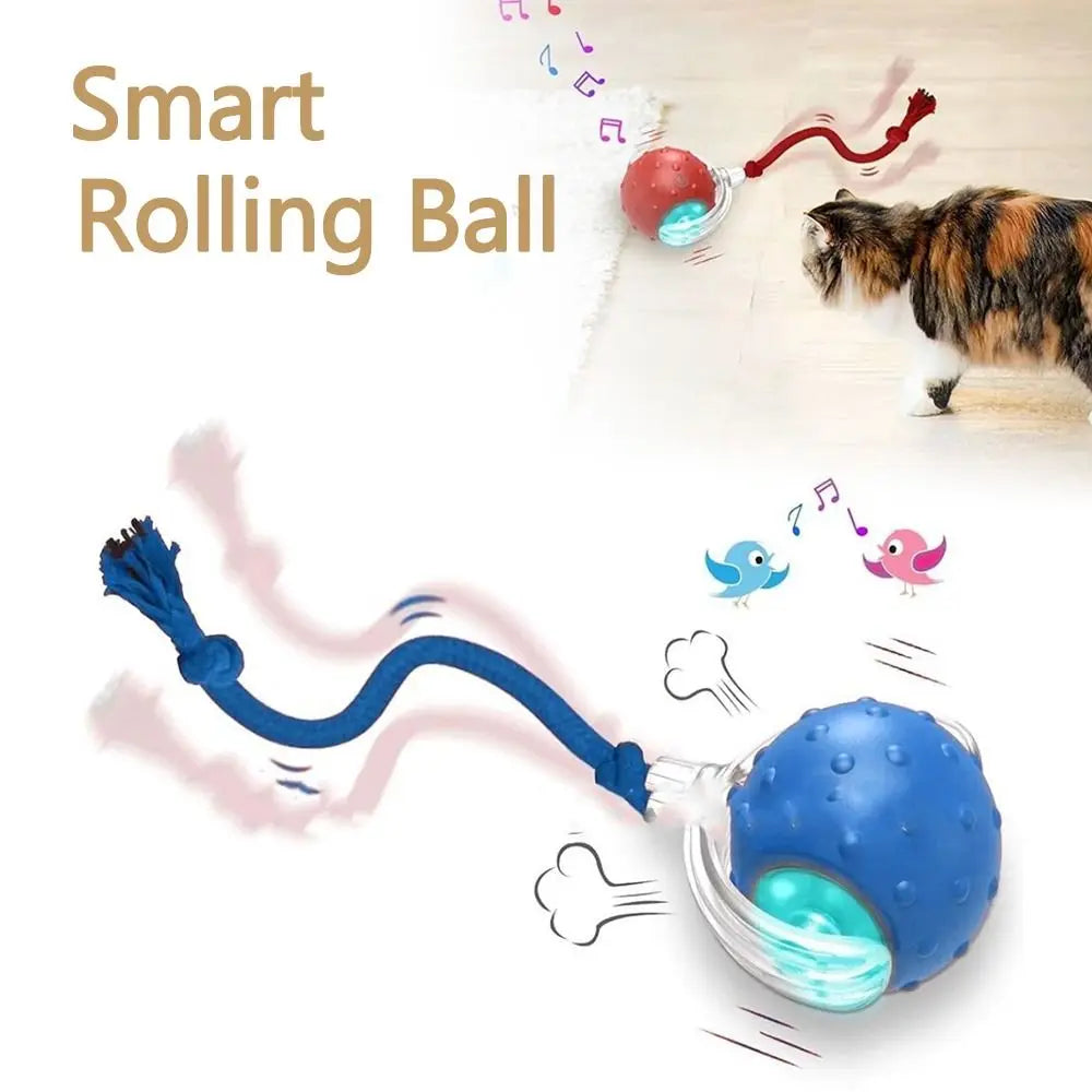 Automatic Smart Cat Toys Fast Rolling Rechargeable Dog Cat Training - PeticaDeals