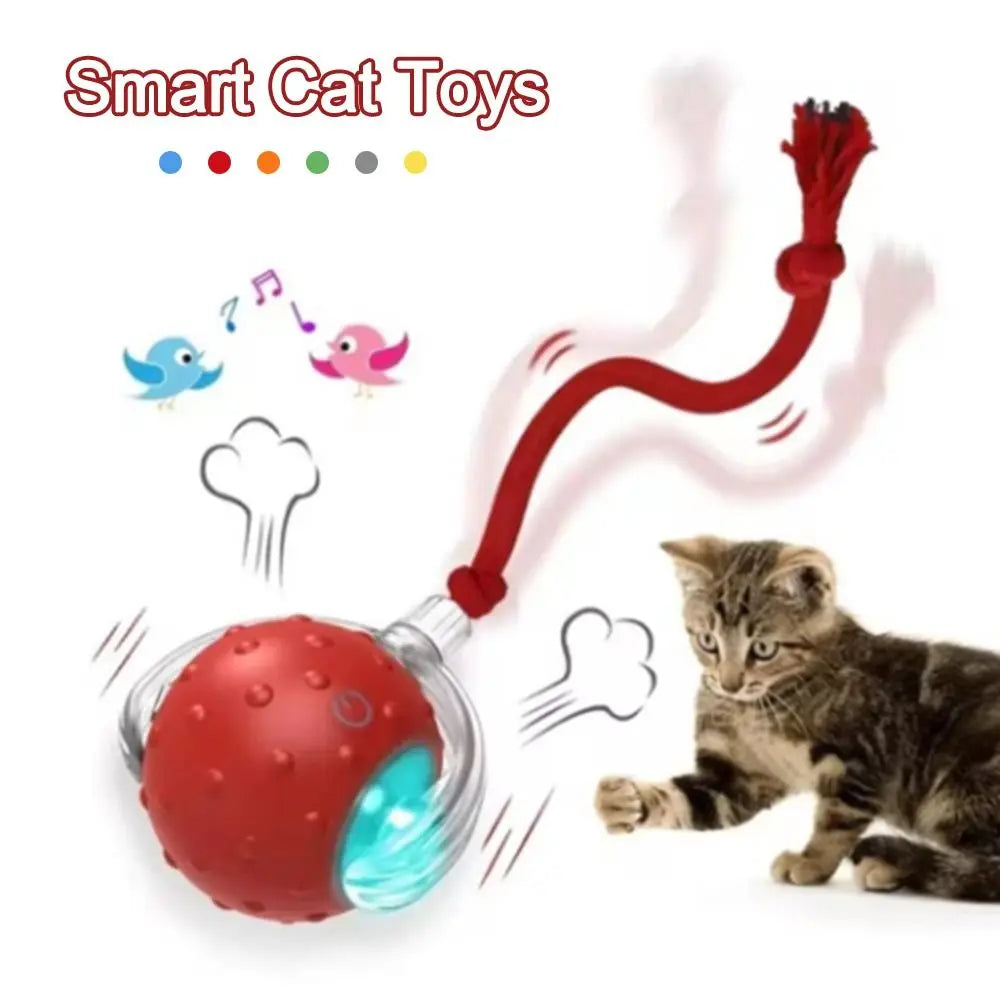 Automatic Smart Cat Toys Fast Rolling Rechargeable Dog Cat Training - PeticaDeals