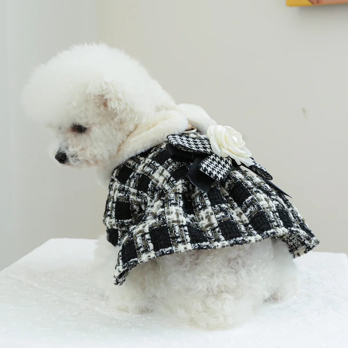 Autumn and Winter Coat Cat Puppy Clothes - PeticaDeals