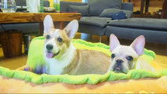 Bed Mat Soft Fiber Pet Dog Puppy & Cat Warm Soft Bed - PeticaDeals