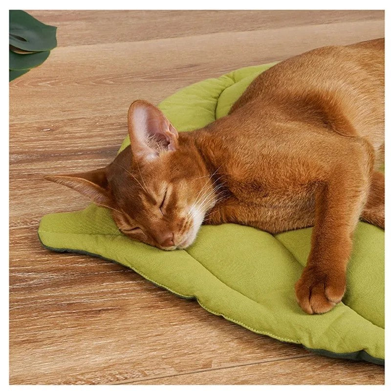 Bed Mats Soft Cotton Leaf-Shaped Kitten Cat Puppy Dog - PeticaDeals