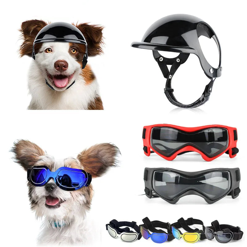 Bicycle Motorcycle Helmet with Sunglasses Dog Cat - PeticaDeals