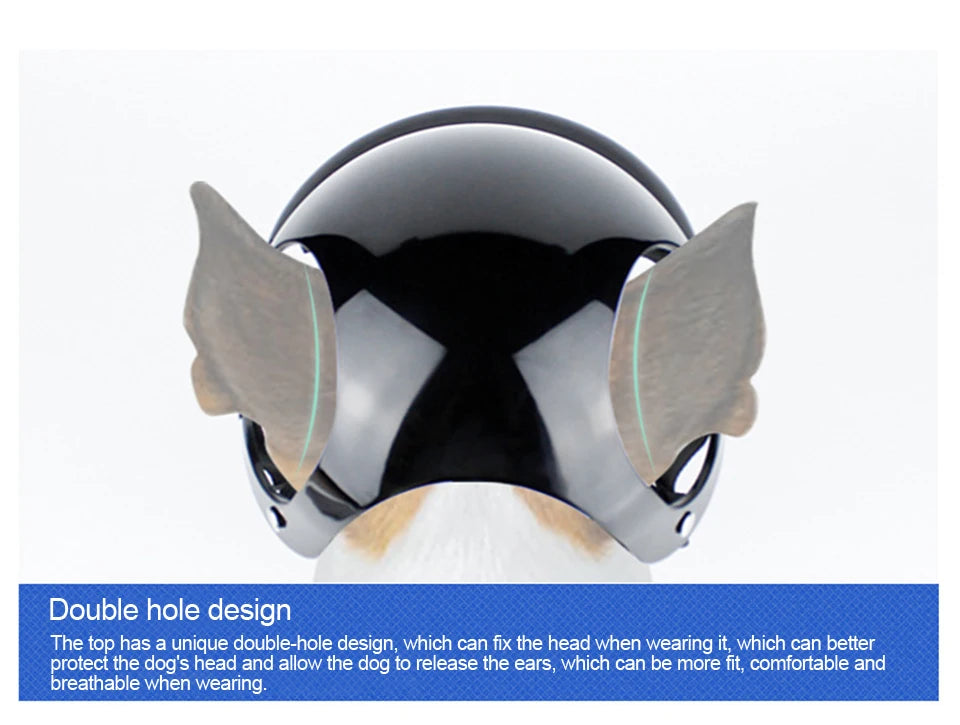 Bicycle Motorcycle Helmet with Sunglasses Dog Cat - PeticaDeals
