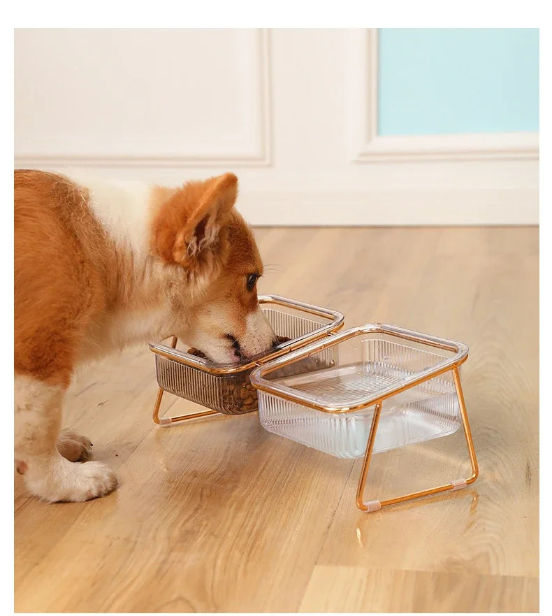 Bowl Transparent - PeticaDeals