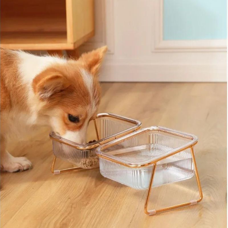 Bowl Transparent - PeticaDeals