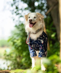 Breathable Pet Shirt for Summer - PeticaDeals