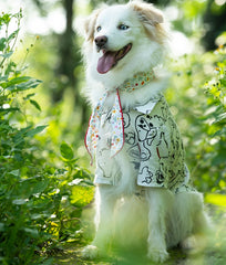 Breathable Pet Shirt for Summer - PeticaDeals