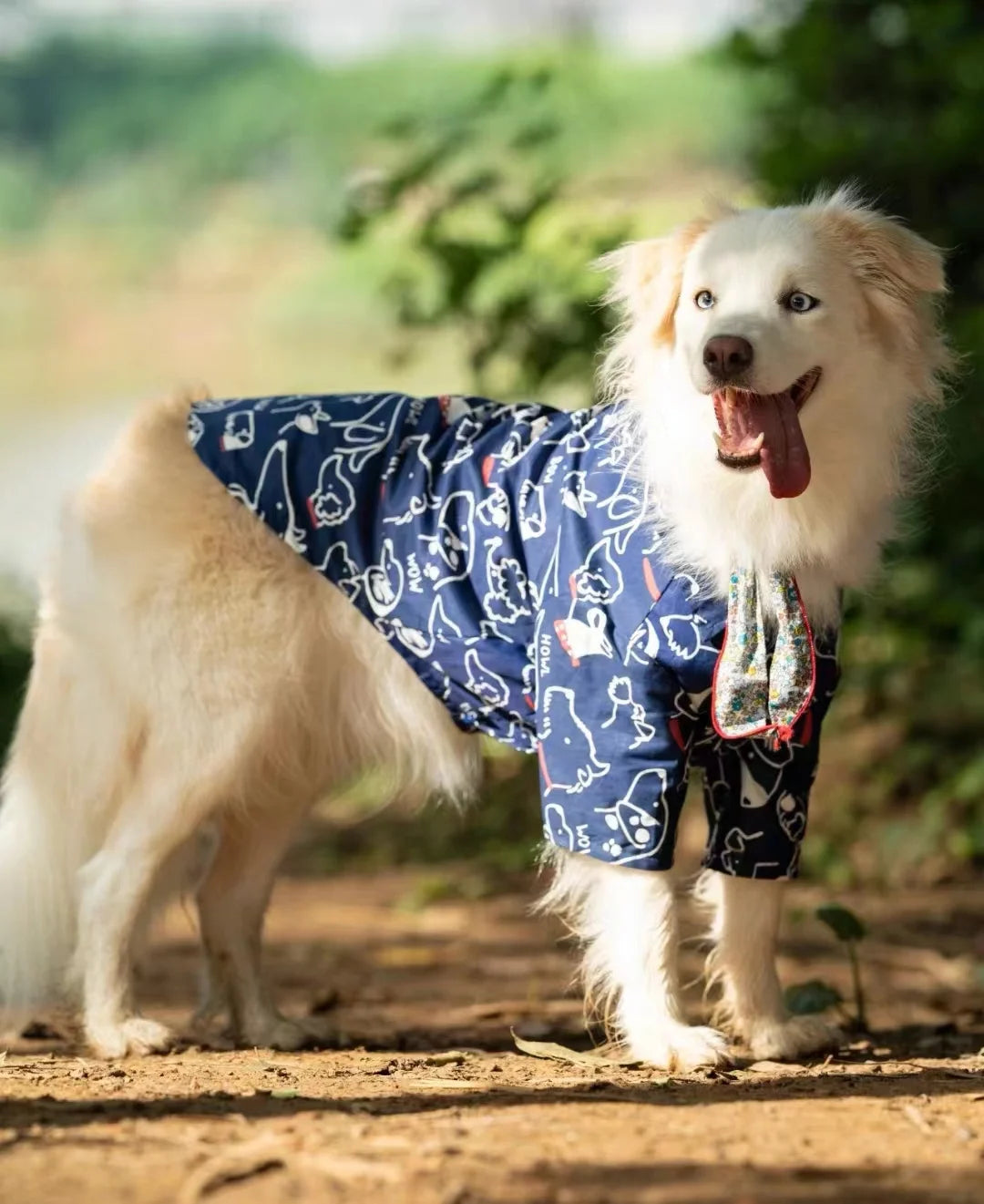 Breathable Pet Shirt for Summer - PeticaDeals