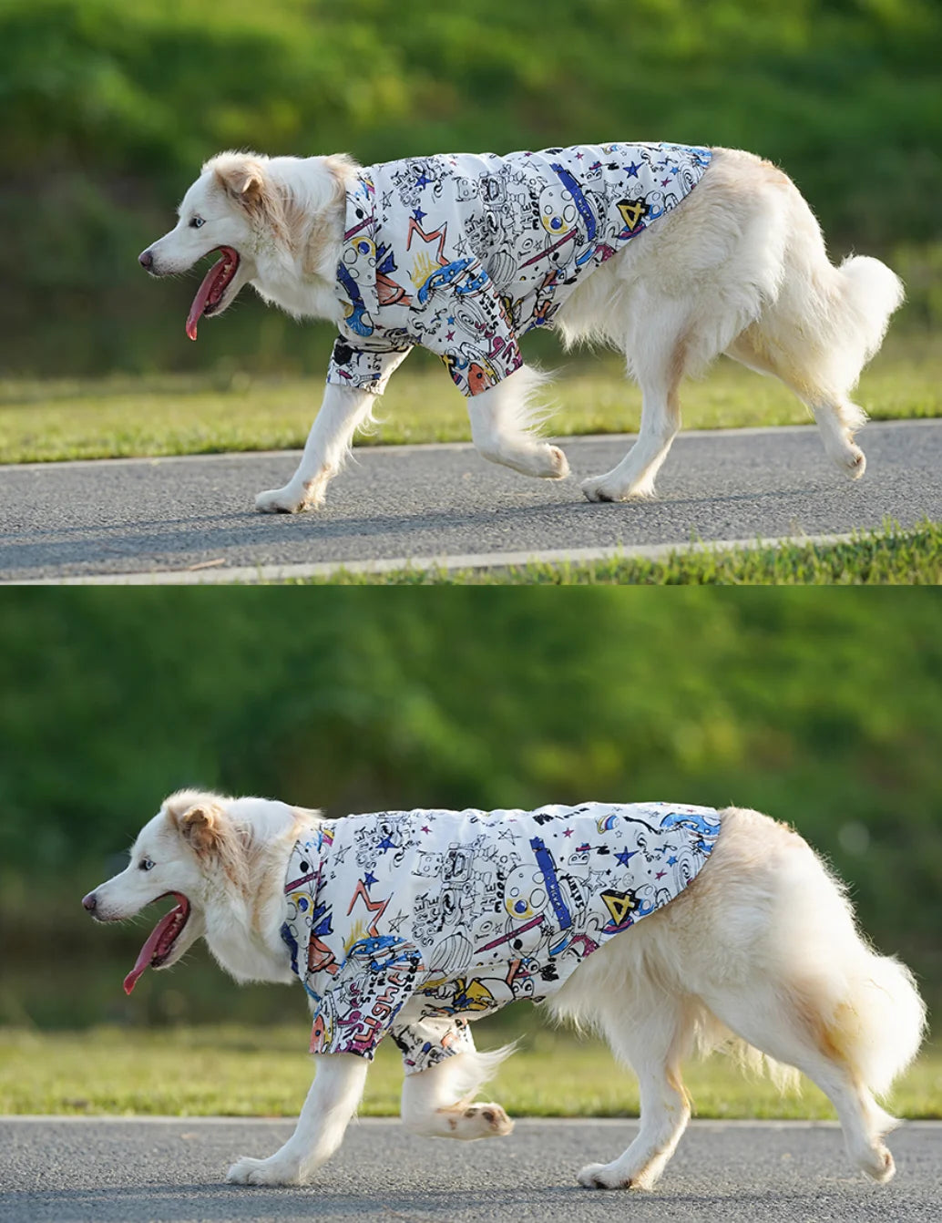 Breathable Pet Shirt for Summer - PeticaDeals