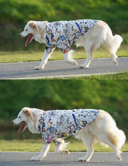 Breathable Pet Shirt for Summer - PeticaDeals