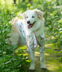 Breathable Pet Shirt for Summer - PeticaDeals