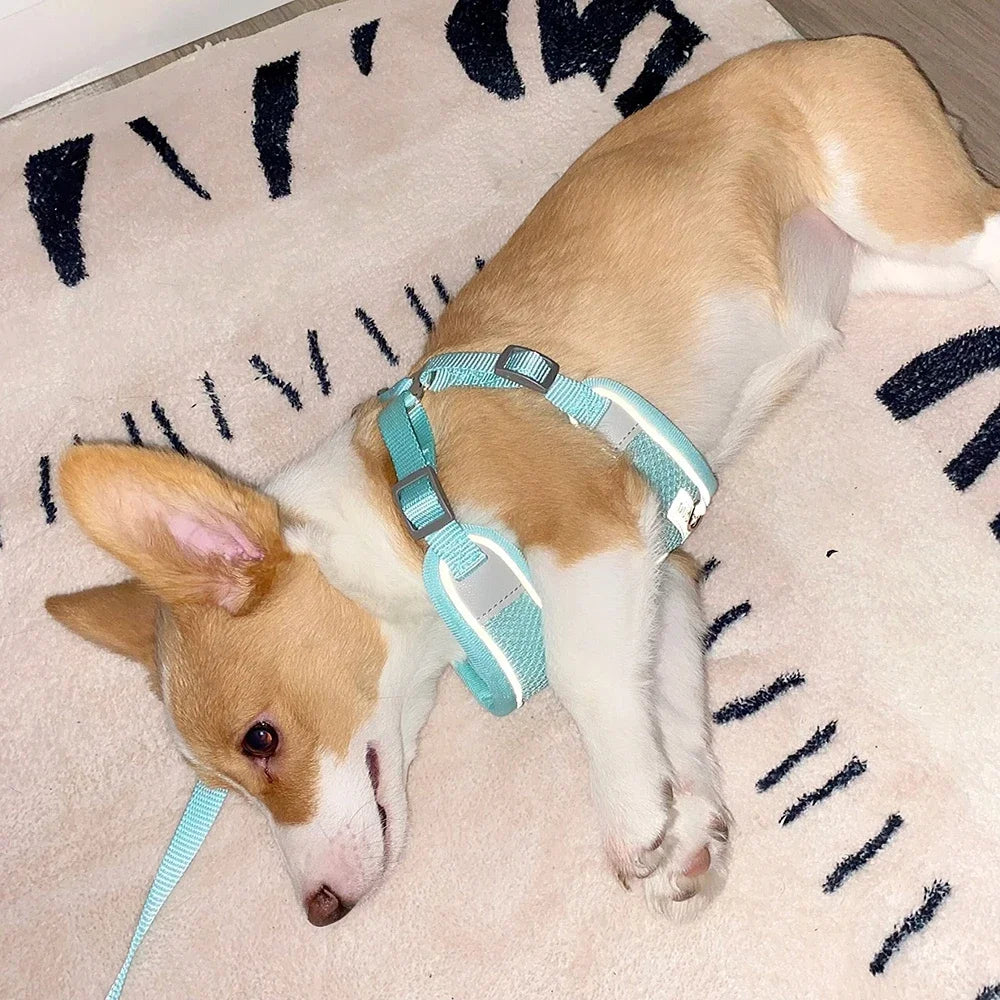 Breathable Reflective Harness for Cats & Small Dogs - PeticaDeals