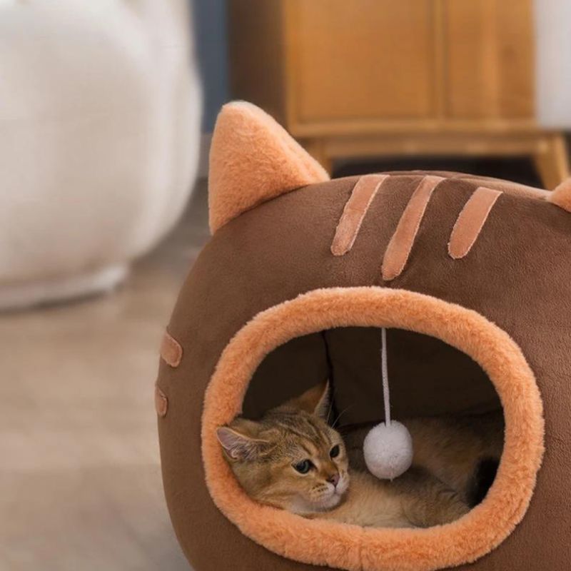 Cat Bed Cute - PeticaDeals