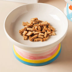Cat Elevated Ceramic Bowl Pet Food Water Snack Bowls Small Dogs - PeticaDeals