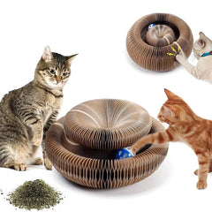 Cat Scratch Board Toy With Bell Ball - PeticaDeals