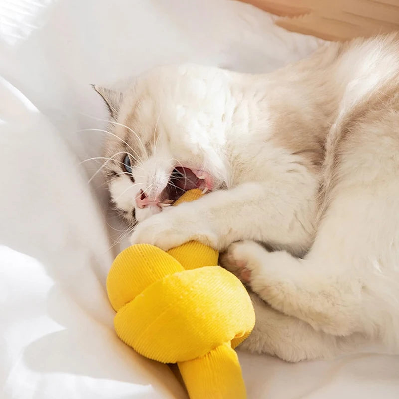 Cat Toy Funny Interactive Plush Sound Kitten Catnip Toys Indoor Teeth Cleaning Chewing - PeticaDeals