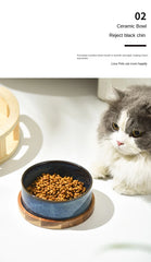 Ceramic Pet Food Water Feeder -PeticaDeals