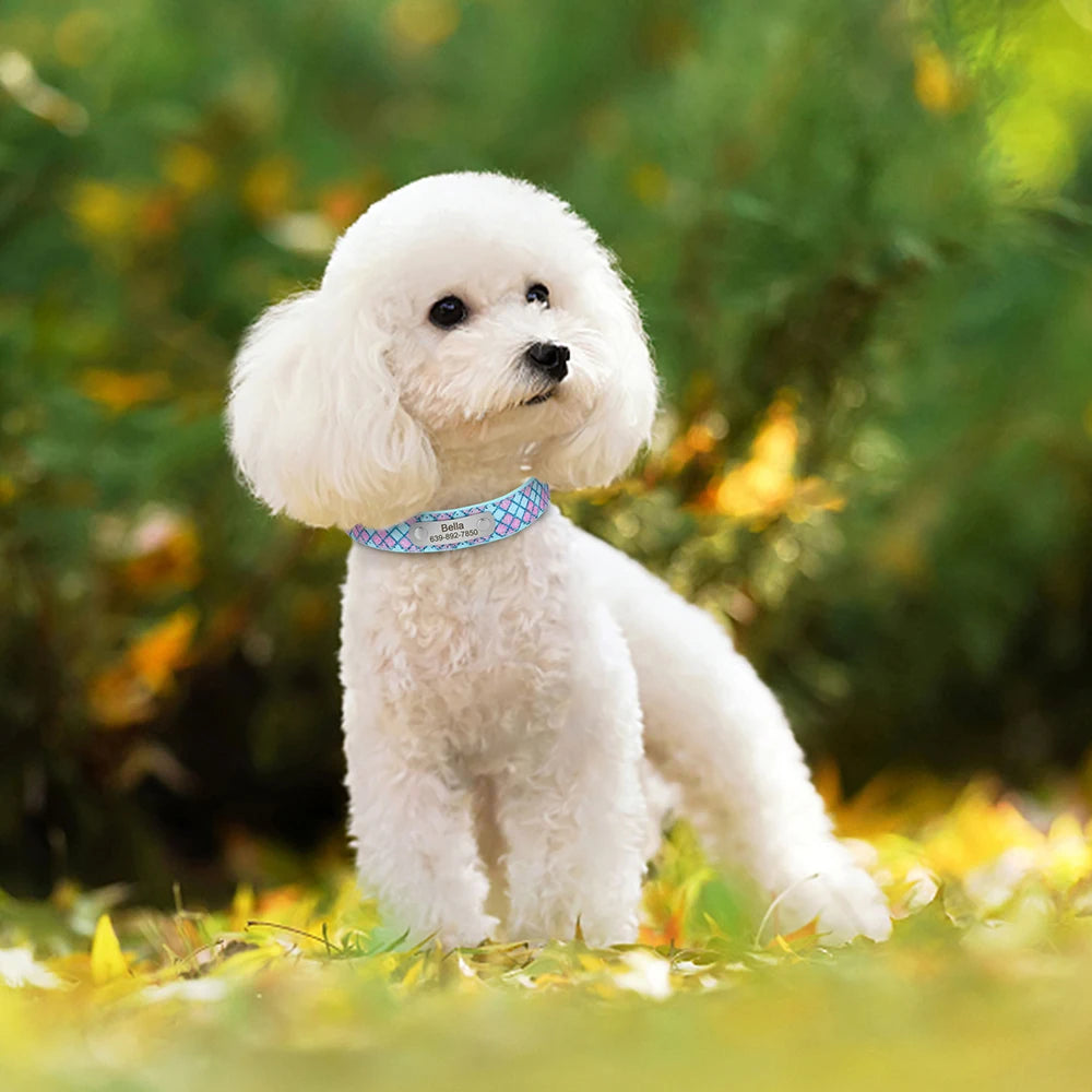 Collar Customized Plaid Collars For Cats & Small Medium Dogs - PeticaDeals