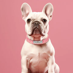 Collar Customized Plaid Collars For Cats & Small Medium Dogs - PeticaDeals