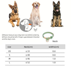 Collar Dog Simple Trendy Style - PeticaDeals