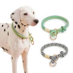 Collar Dog Simple Trendy Style - PeticaDeals