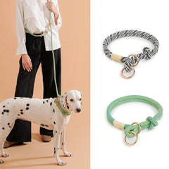 Collar Dog Simple Trendy Style - PeticaDeals