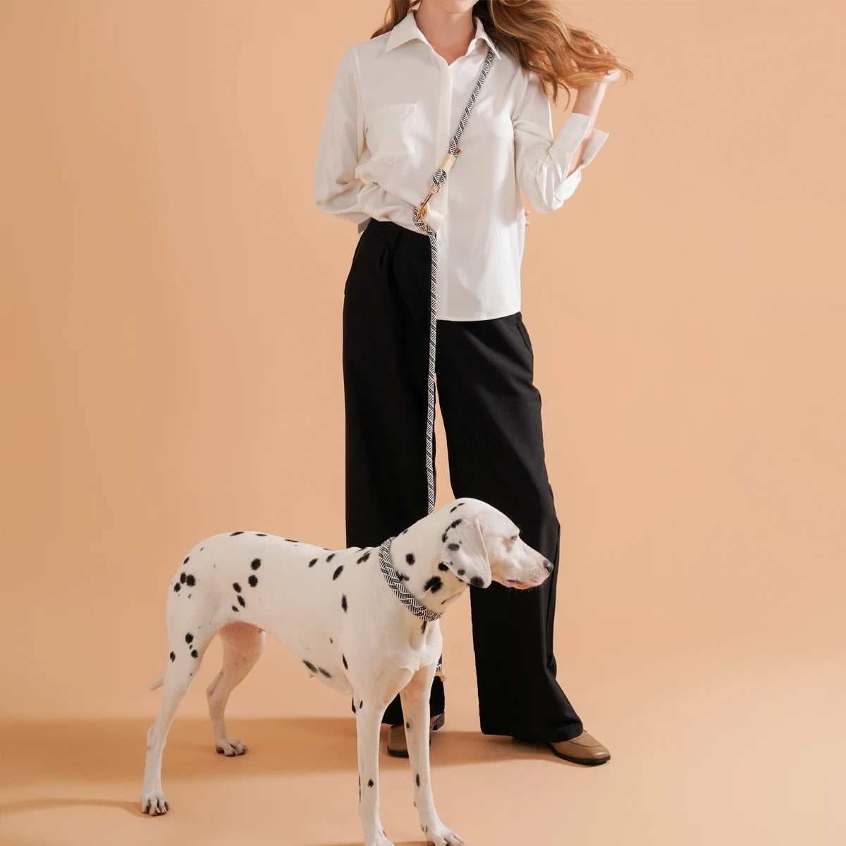 Collar Dog Simple Trendy Style - PeticaDeals