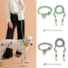 Collar Dog Simple Trendy Style - PeticaDeals