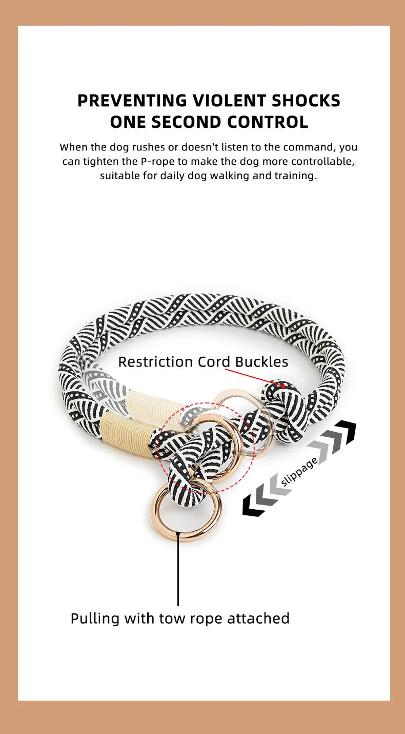 Collar Dog Simple Trendy Style - PeticaDeals