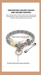 Collar Dog Simple Trendy Style - PeticaDeals