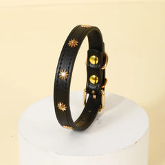 Collar Gold Rivet Designers Leather Pet - PeticaDeals