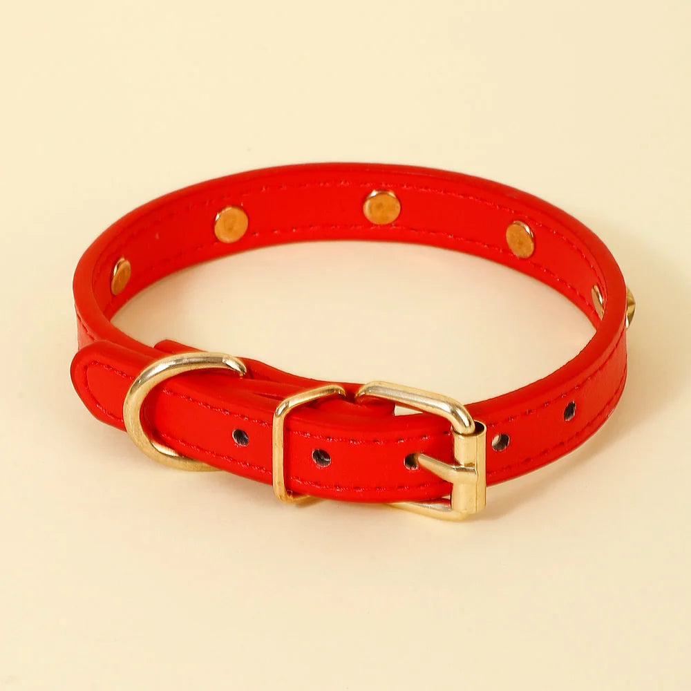 Collar Gold Rivet Designers Leather Pet - PeticaDeals