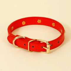 Collar Gold Rivet Designers Leather Pet - PeticaDeals