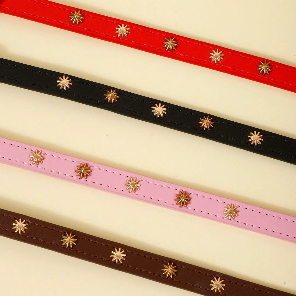 Collar Gold Rivet Designers Leather Pet - PeticaDeals