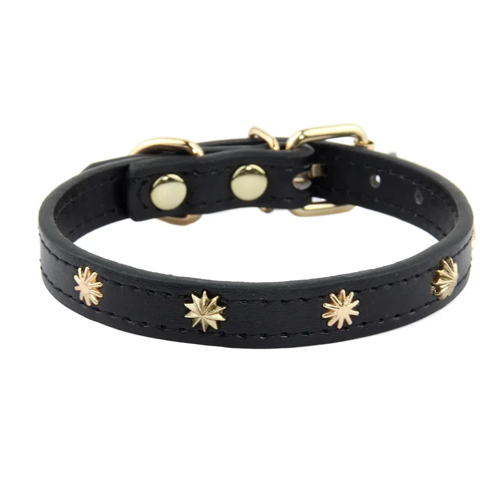 Collar Gold Rivet Designers Leather Pet - PeticaDeals