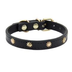Collar Gold Rivet Designers Leather Pet - PeticaDeals