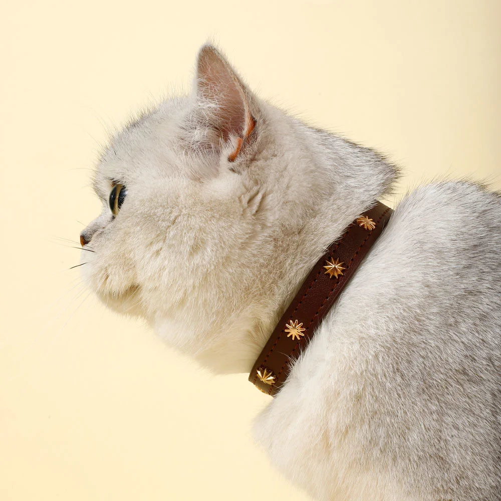 Collar Gold Rivet Designers Leather Pet - PeticaDeals