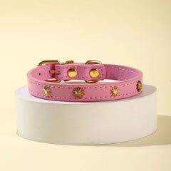 Collar Gold Rivet Designers Leather Pet - PeticaDeals