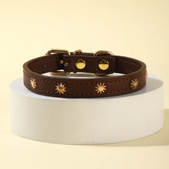 Collar Gold Rivet Designers Leather Pet - PeticaDeals