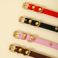Collar Gold Rivet Designers Leather Pet - PeticaDeals