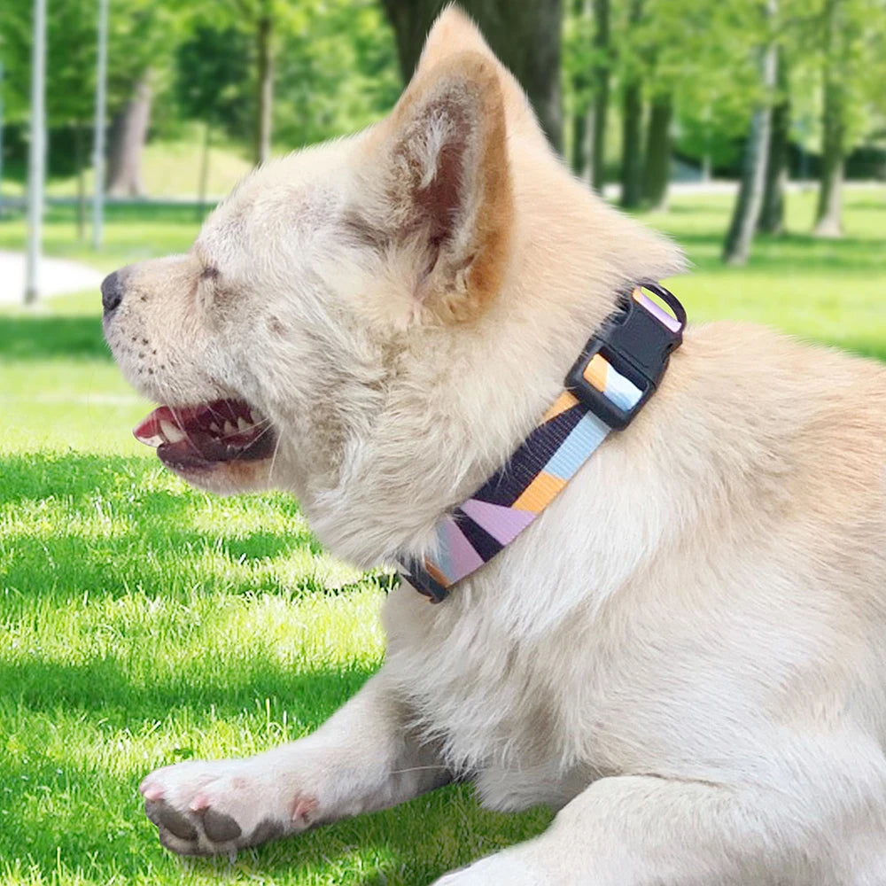 Collars Adjustable Print Dog & Cats Collar Floral Printed - PeticaDeals