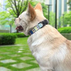 Collars Adjustable Print Dog & Cats Collar Floral Printed - PeticaDeals