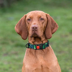 Collars Adjustable Print Dog & Cats Collar Floral Printed - PeticaDeals