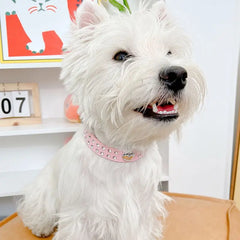 Collars Dog Bling Rhinestone Heart Necklace Adjustable Leather - PeticaDeals