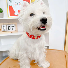 Collars Dog Bling Rhinestone Heart Necklace Adjustable Leather - PeticaDeals