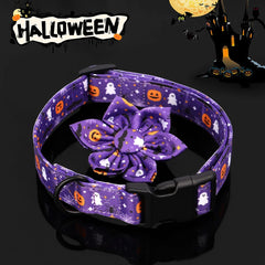 Collars with Flowers - PeticaDeals