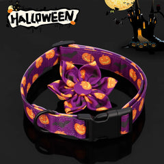 Collars with Flowers - PeticaDeals