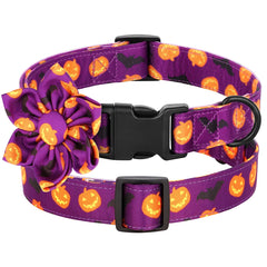 Collars with Flowers - PeticaDeals