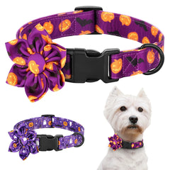 Collars with Flowers - PeticaDeals